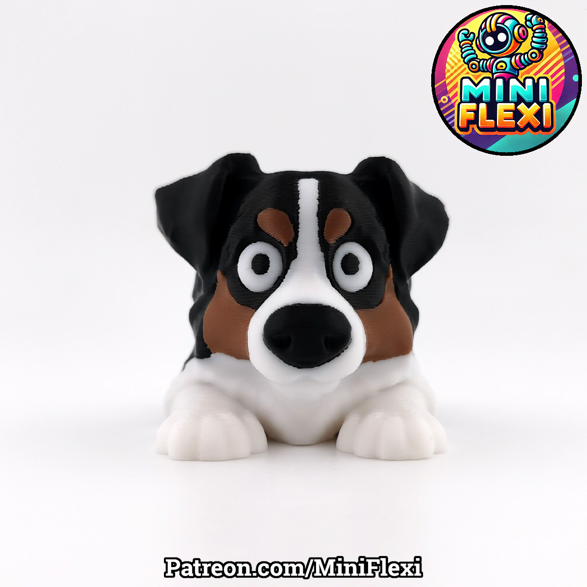 Dog Flexis