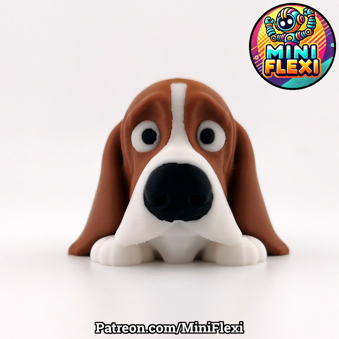 Dog Flexis