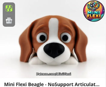 Dog Flexis