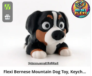 Dog Flexis