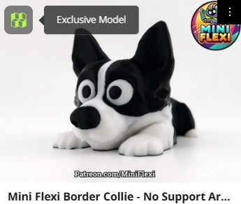 Dog Flexis