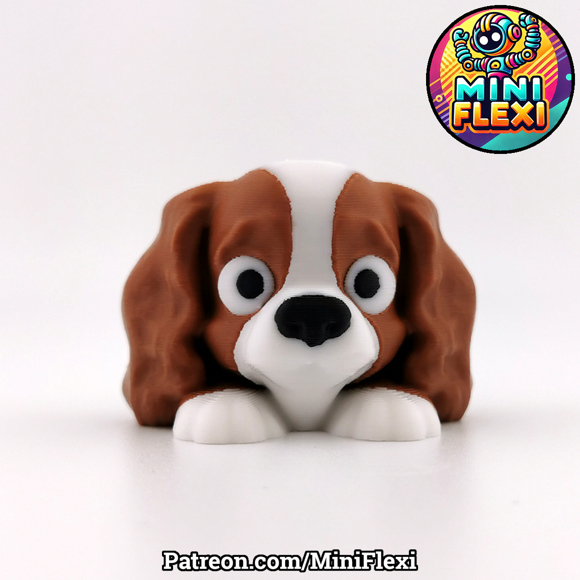 Dog Flexis