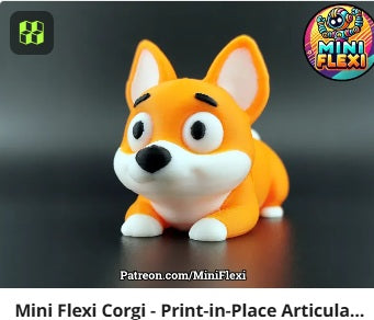 Dog Flexis