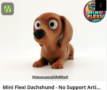 Dog Flexis