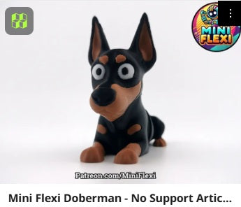 Dog Flexis