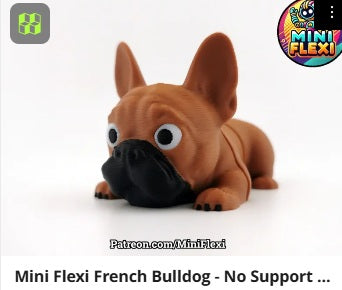 Dog Flexis