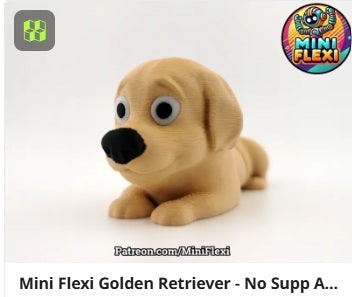 Dog Flexis