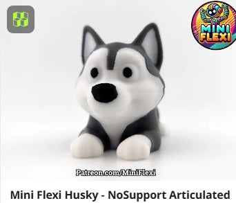 Dog Flexis