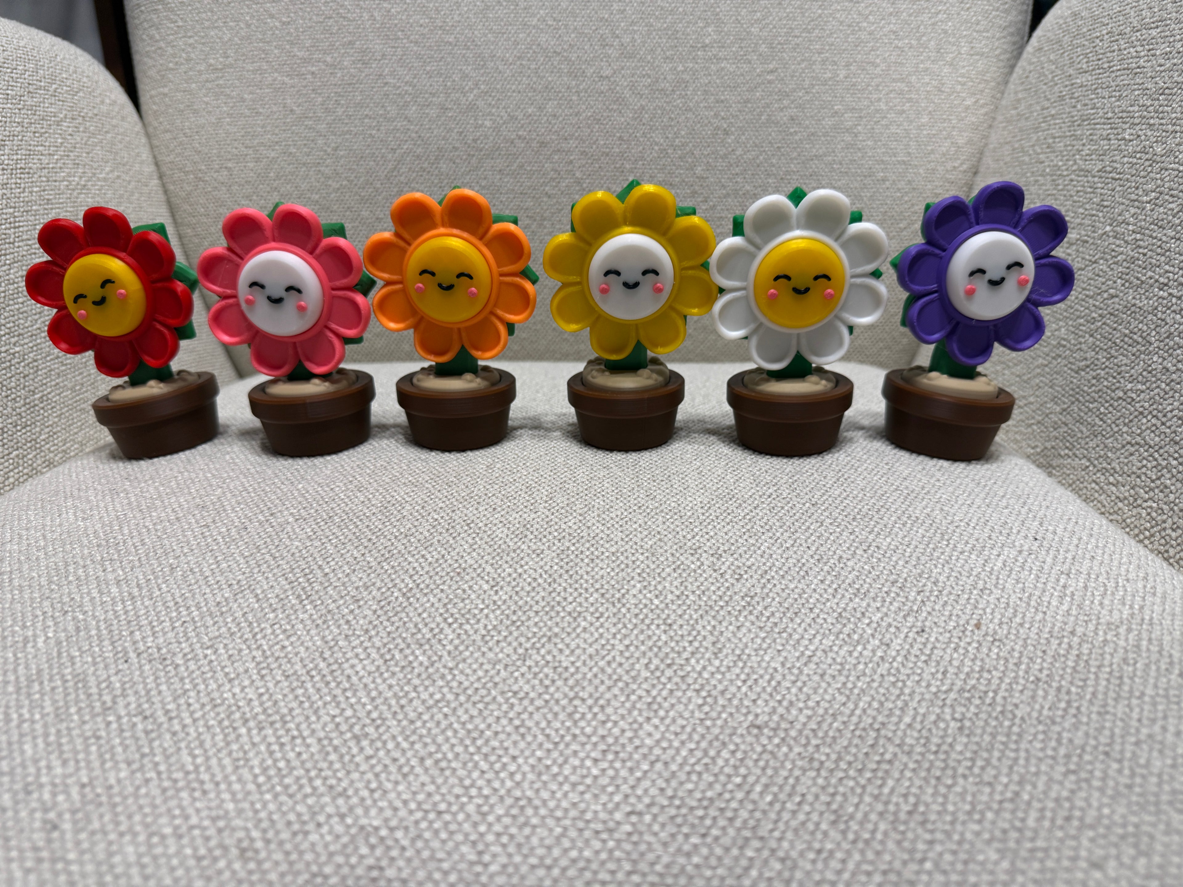 Daisy in Pot