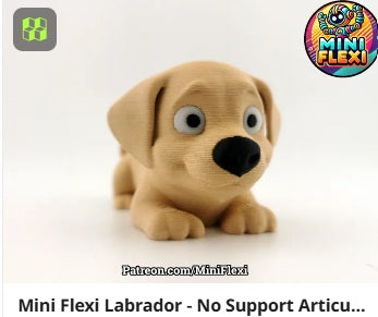Dog Flexis