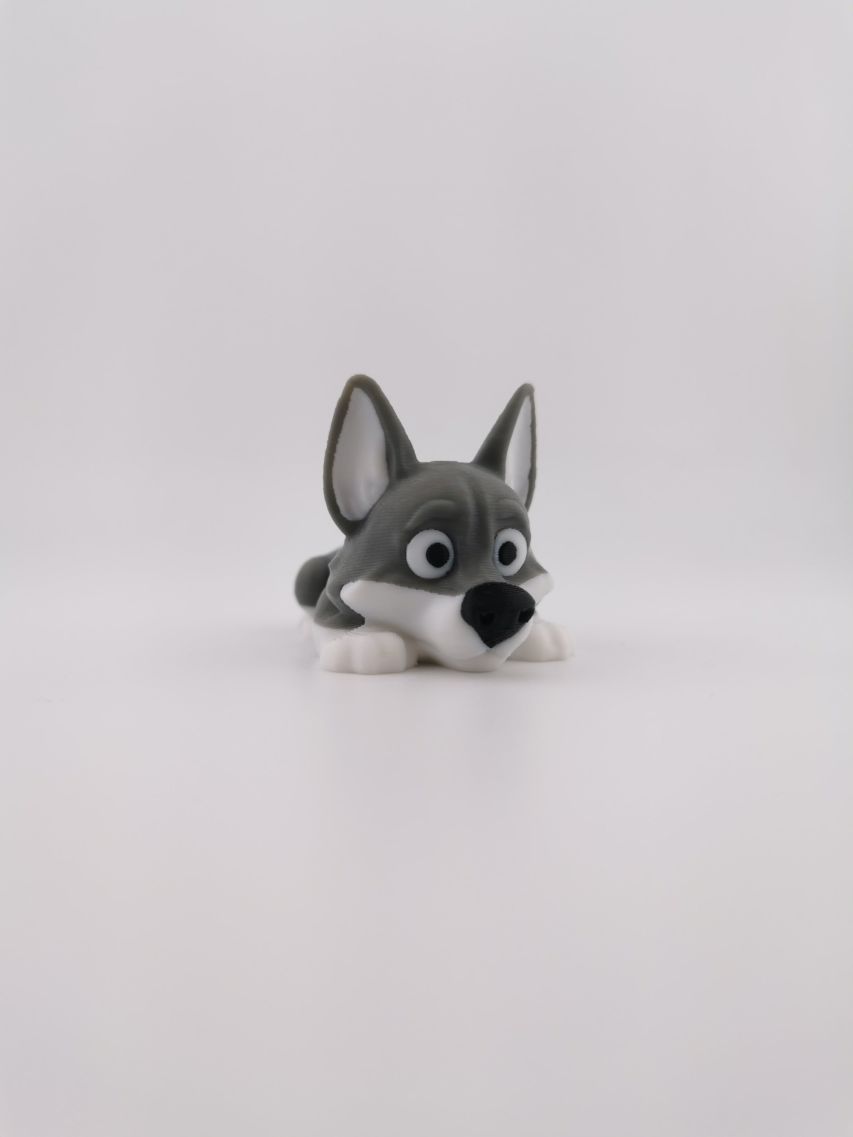 Animal Flexis