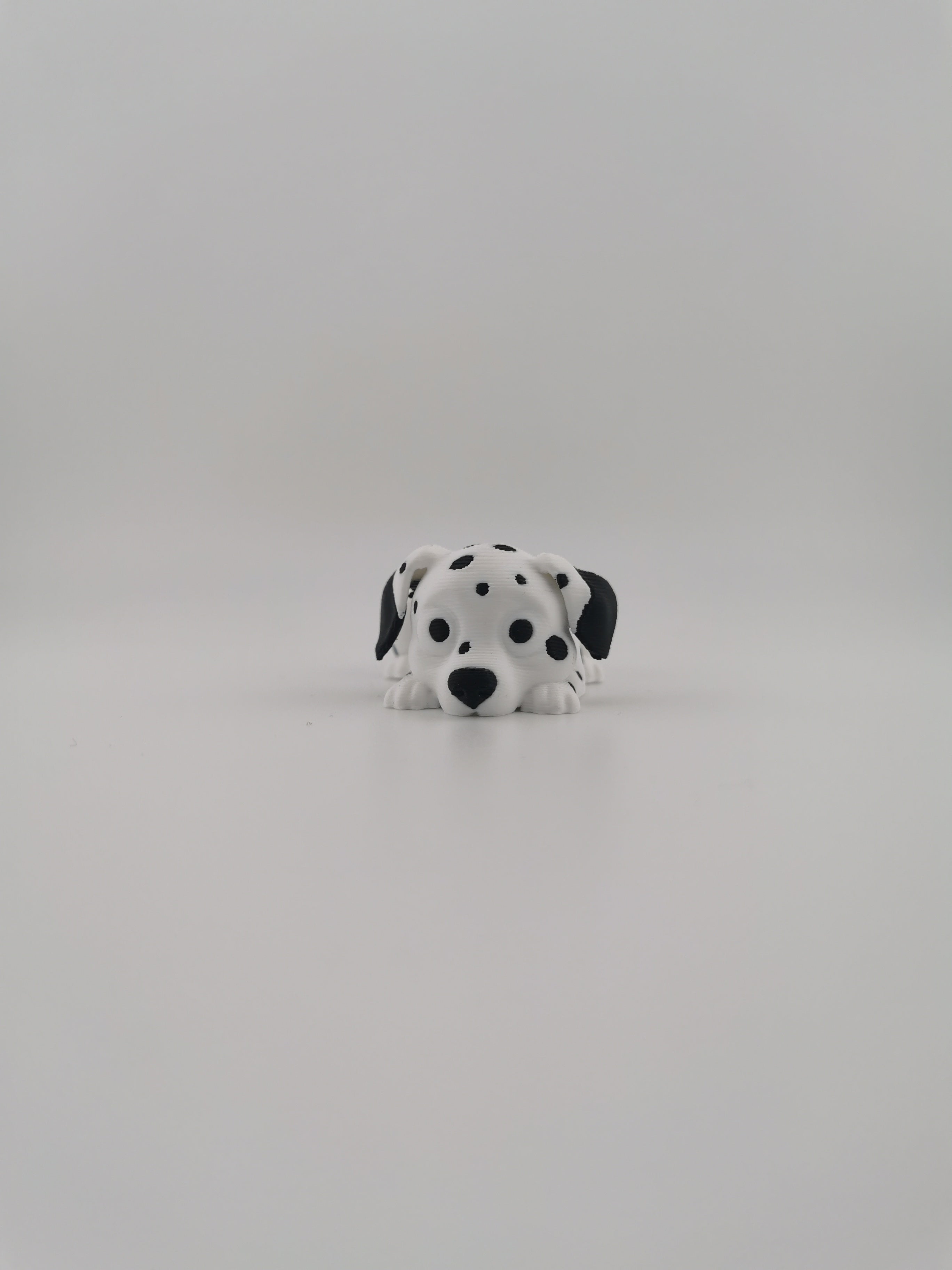 Dog Flexis