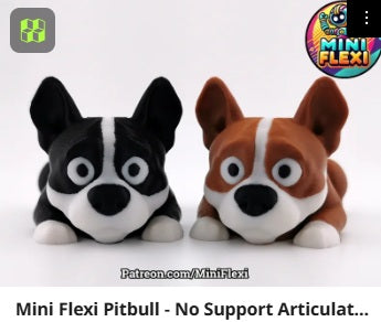 Dog Flexis