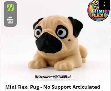 Dog Flexis