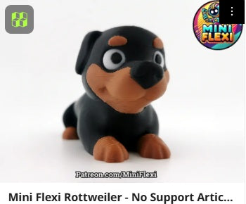 Dog Flexis