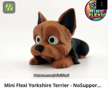 Dog Flexis