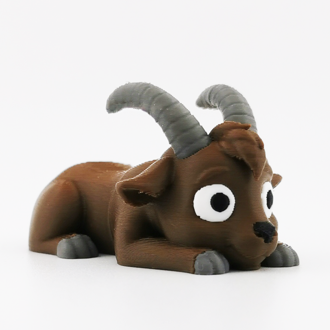 Animal Flexis