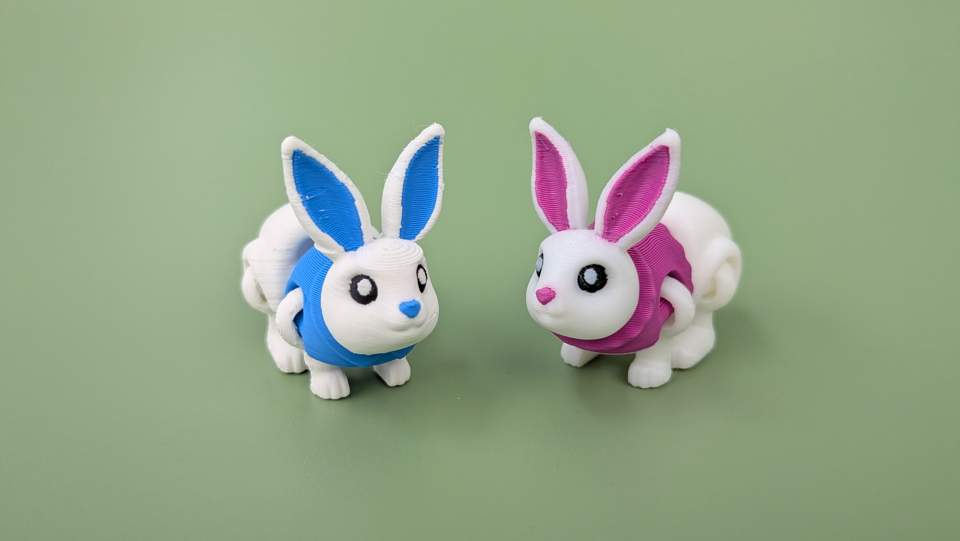 Articulated Animals