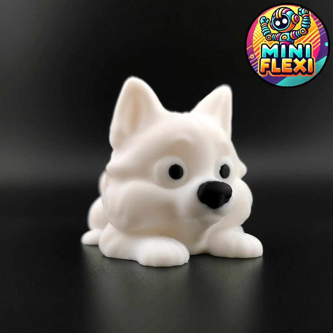 Dog Flexis